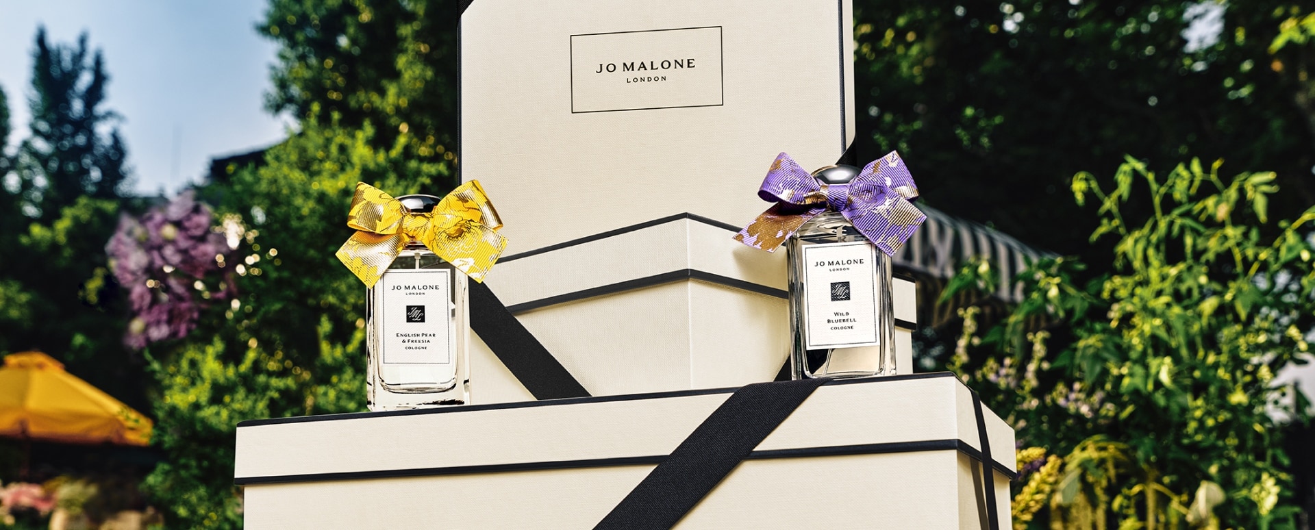 纳春入室 跃然盛放 即刻开启新春好运