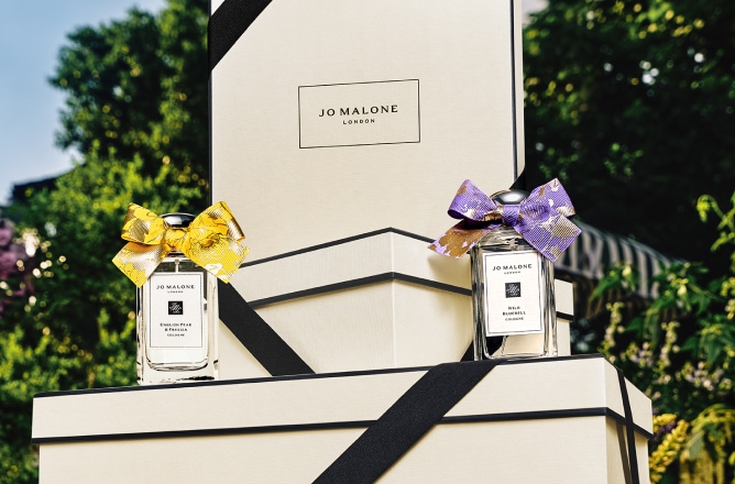 纳春入室 跃然盛放